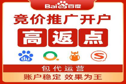 某品牌通过SEM关键词实现品牌推广的实战案例